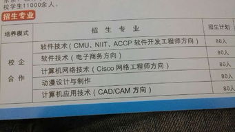 大學軟件測試方向專業選擇指南 計算機網絡、計算機應用與軟件技術深度解析